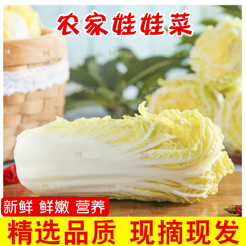 浅底上的娃娃菜