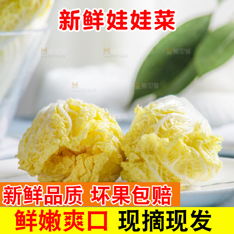 浅底上的娃娃菜