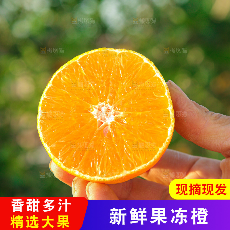 手里拿着爱媛果冻橙