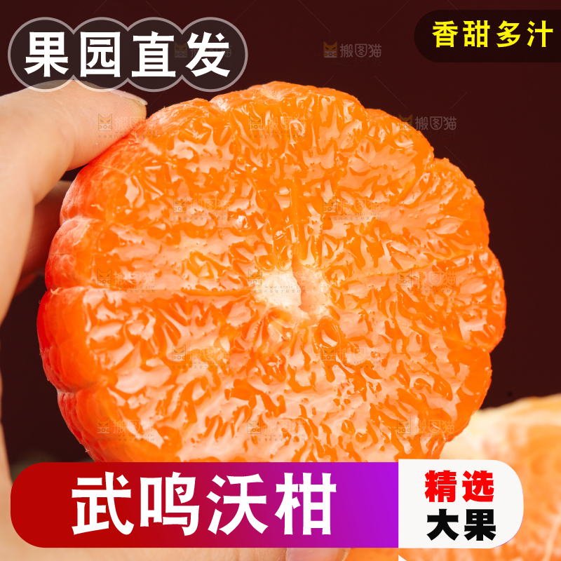 深底上的武鸣沃柑