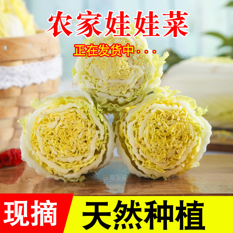 浅底上的娃娃菜