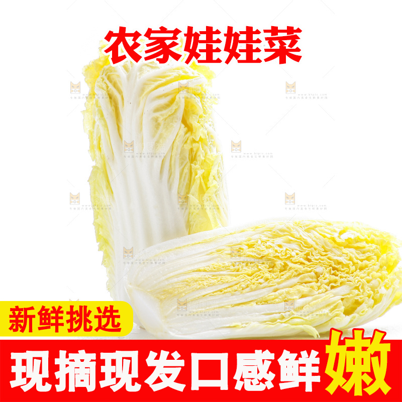 白底上的娃娃菜