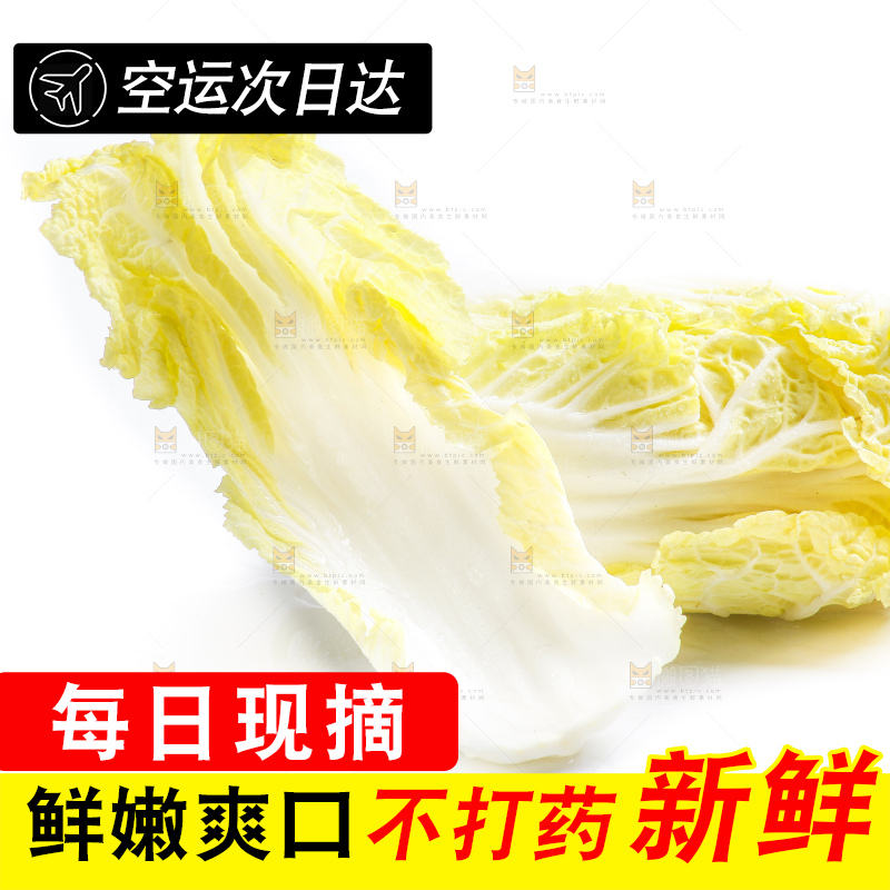 白底上的娃娃菜