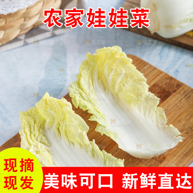 浅底上的娃娃菜