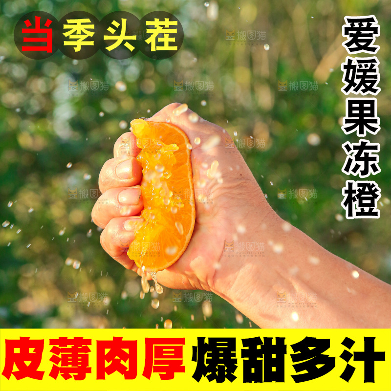 手里拿着爱媛果冻橙