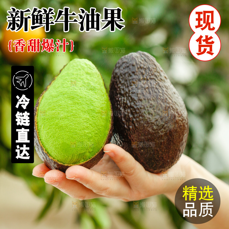 手里拿着巨无霸牛油果
