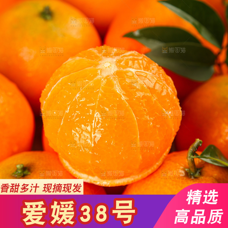 深底上的爱媛果冻橙