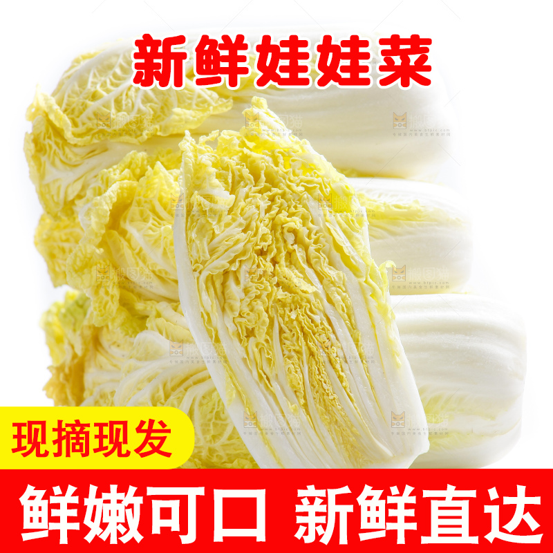 白底上的娃娃菜