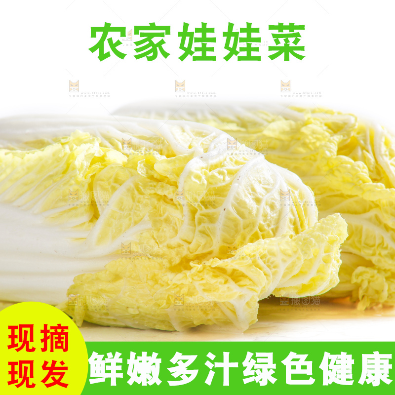 白底上的娃娃菜