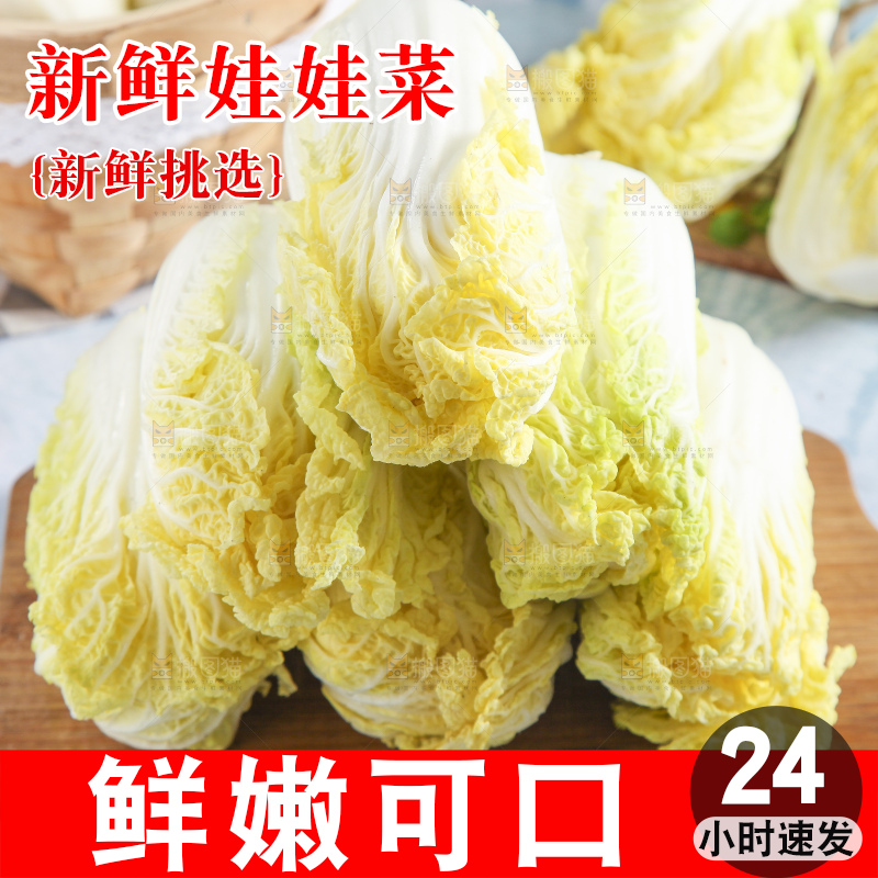浅底上的娃娃菜