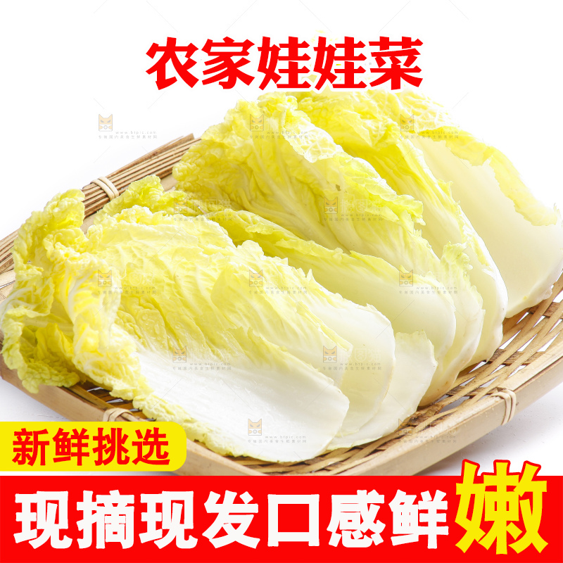 白底上的娃娃菜