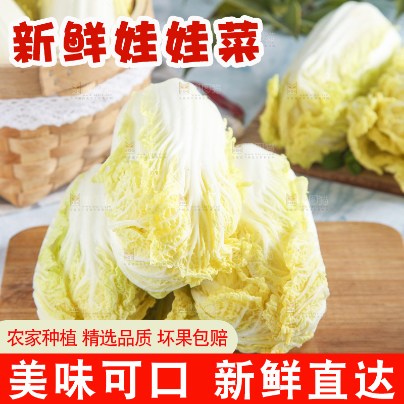 浅底上的娃娃菜