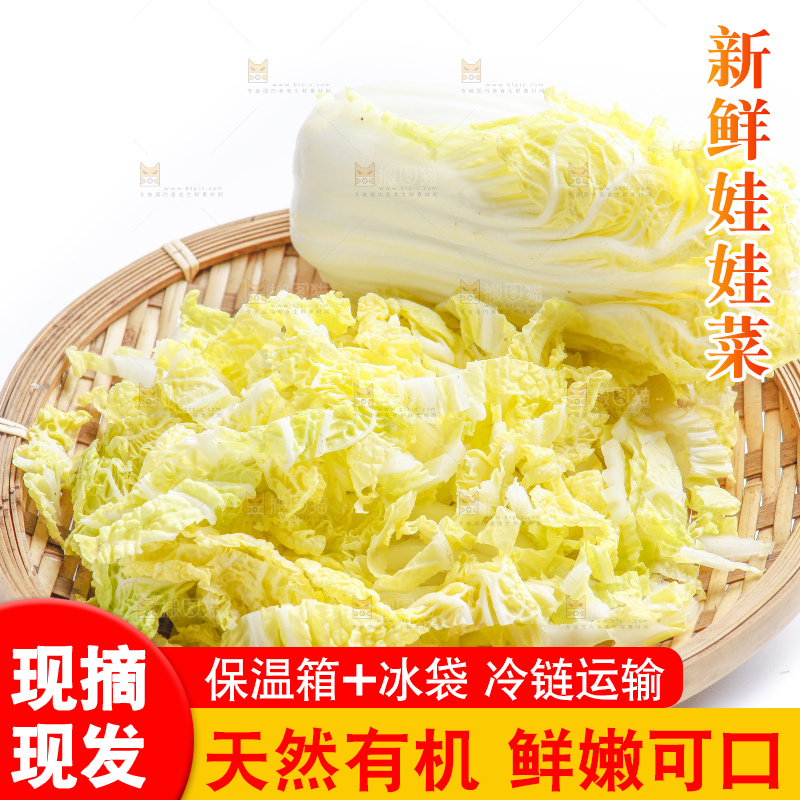 白底上的娃娃菜