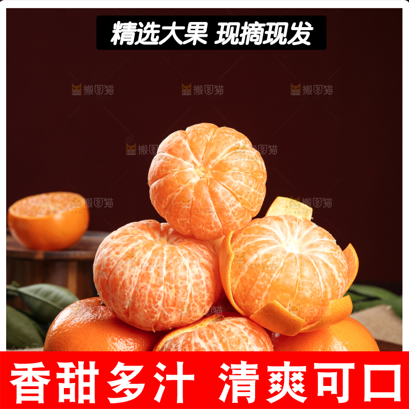 深底上的武鸣沃柑