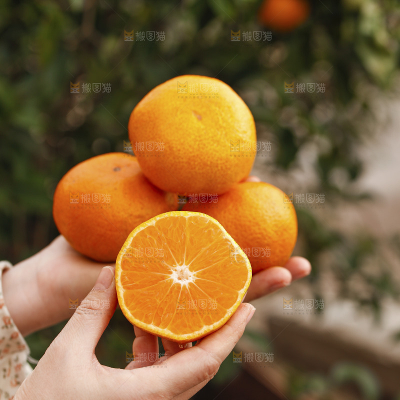 手里拿着涌泉蜜桔