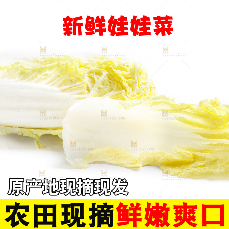 白底上的娃娃菜