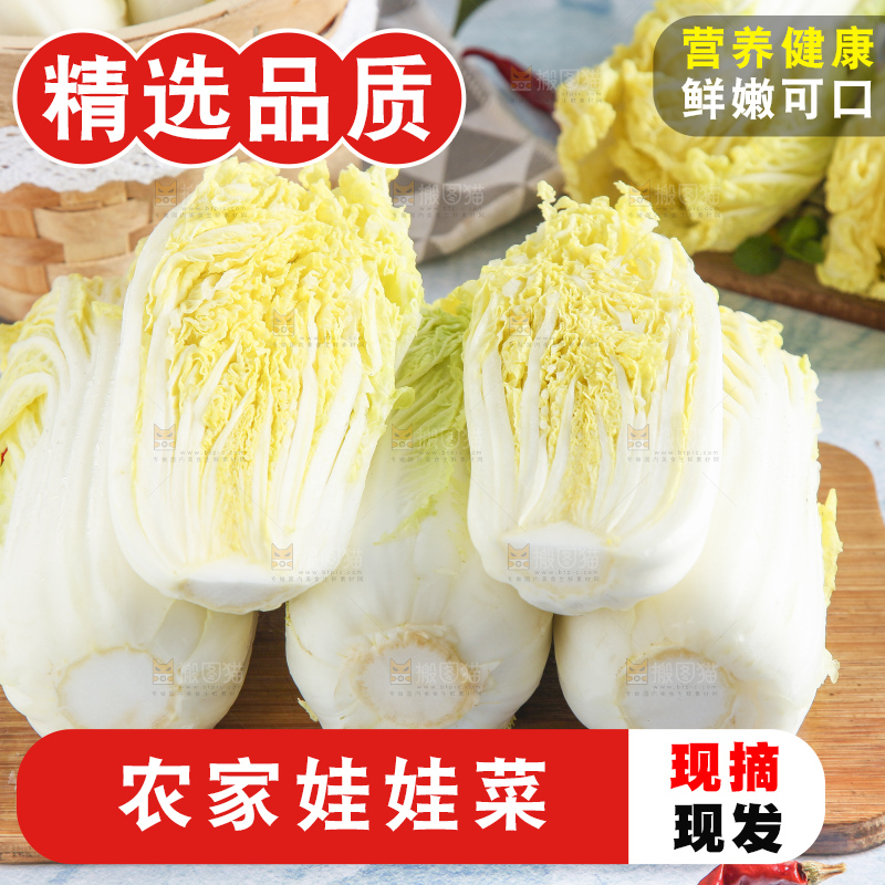 浅底上的娃娃菜