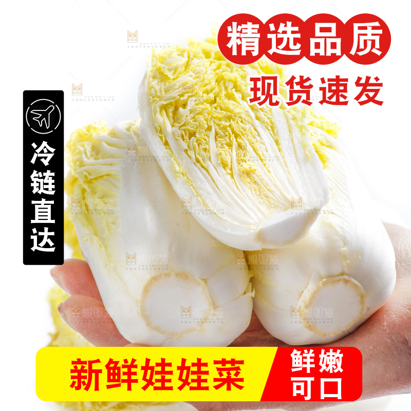 白底上的娃娃菜