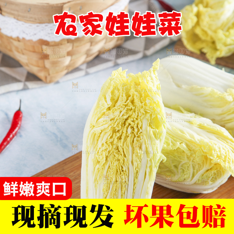 浅底上的娃娃菜
