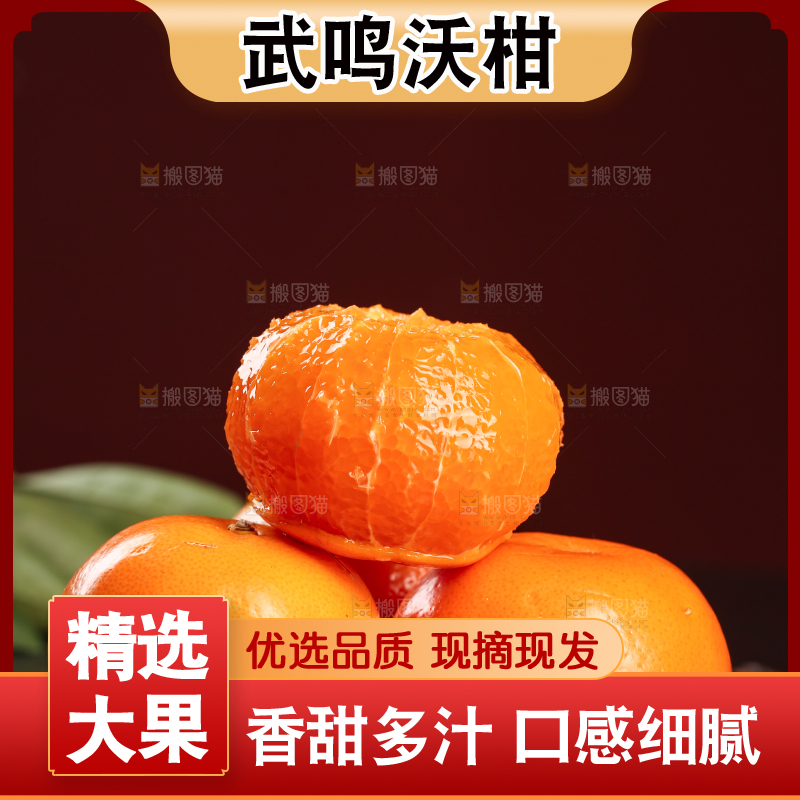 深底上的武鸣沃柑