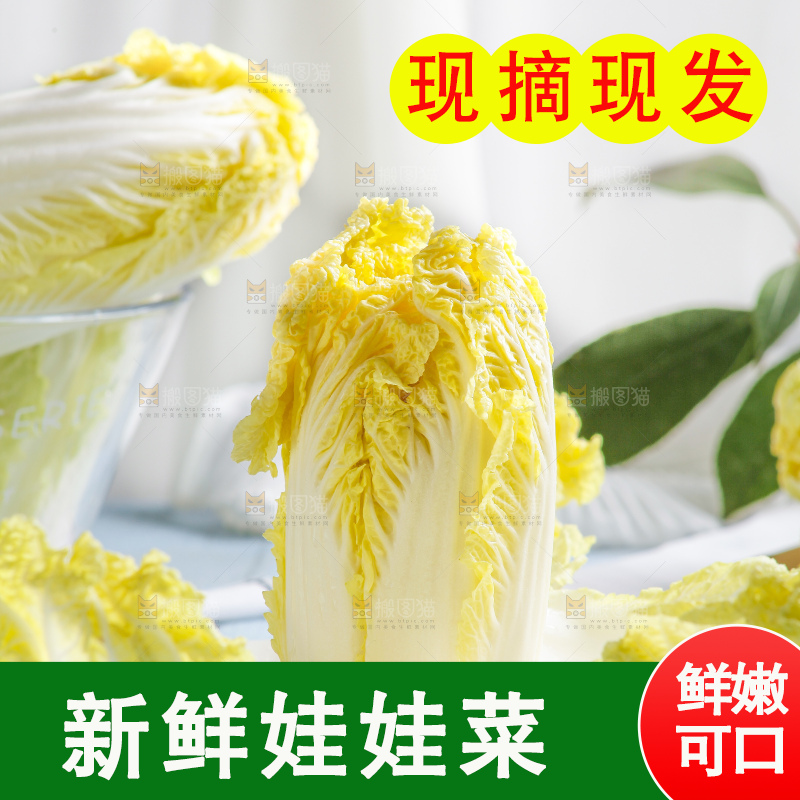 浅底上的娃娃菜
