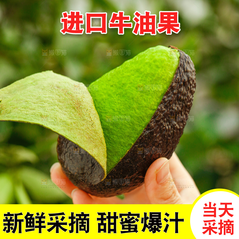 手里拿着巨无霸牛油果