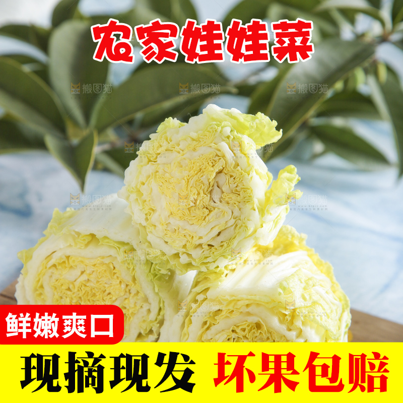 浅底上的娃娃菜