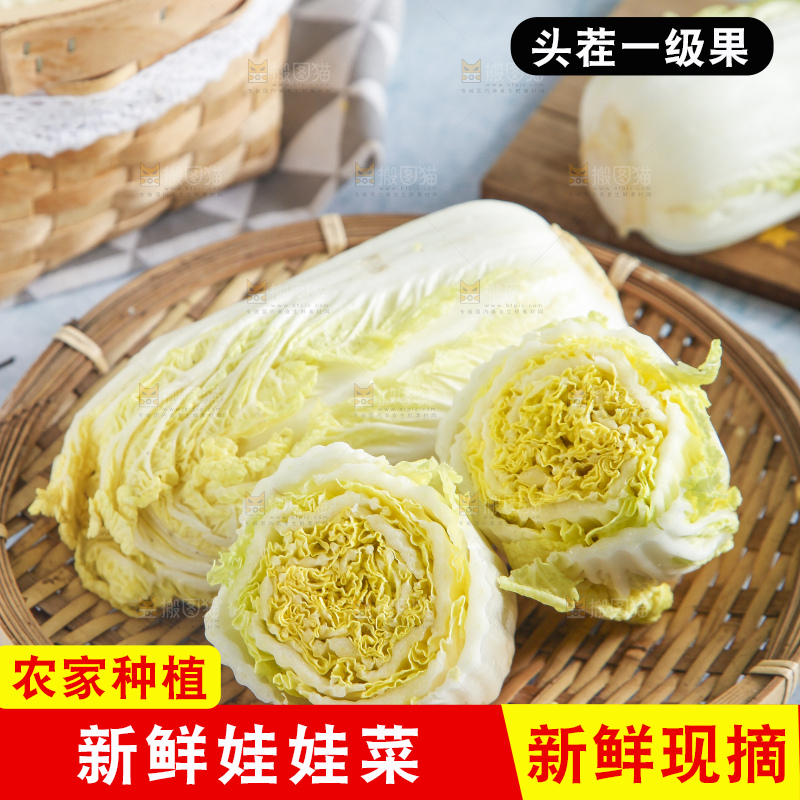 浅底上的娃娃菜