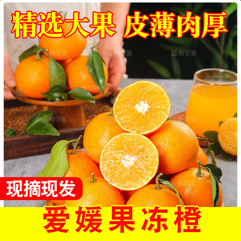 深底上的爱媛果冻橙