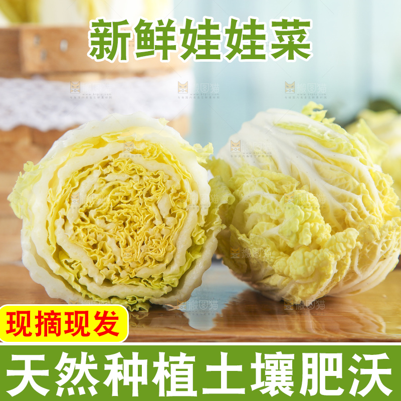 浅底上的娃娃菜