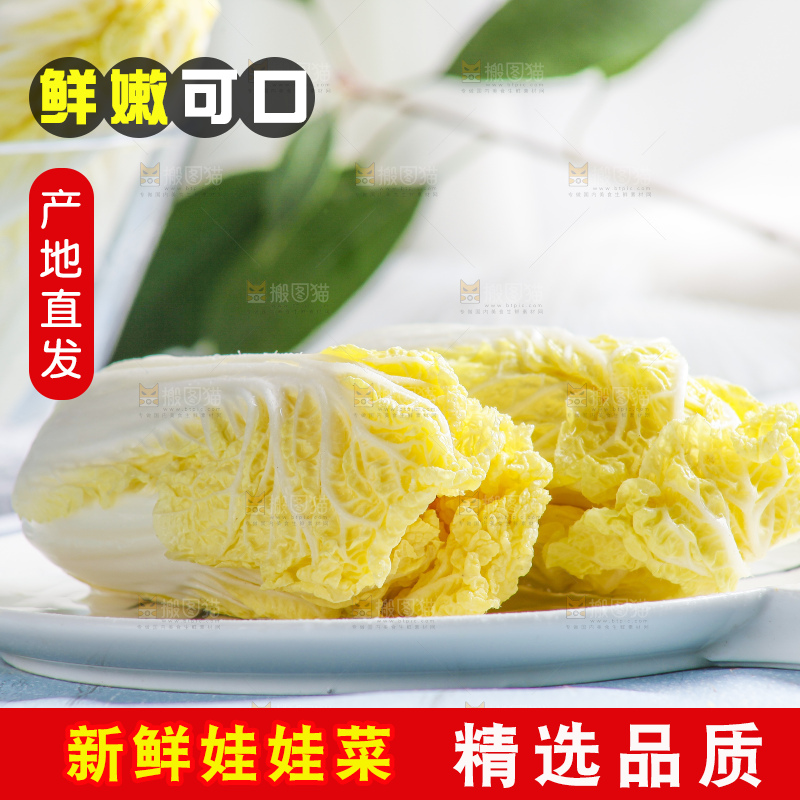 浅底上的娃娃菜