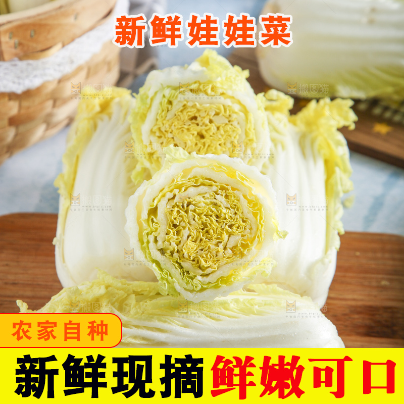 浅底上的娃娃菜