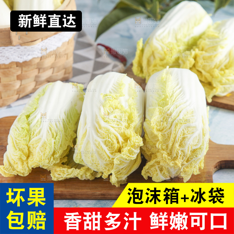 浅底上的娃娃菜