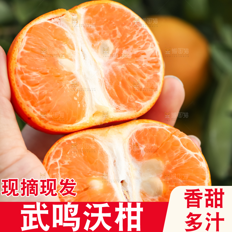 手里拿着新鲜沃柑