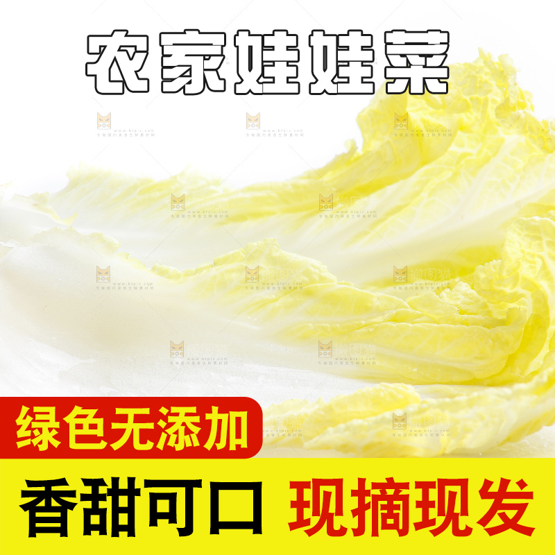 白底上的娃娃菜