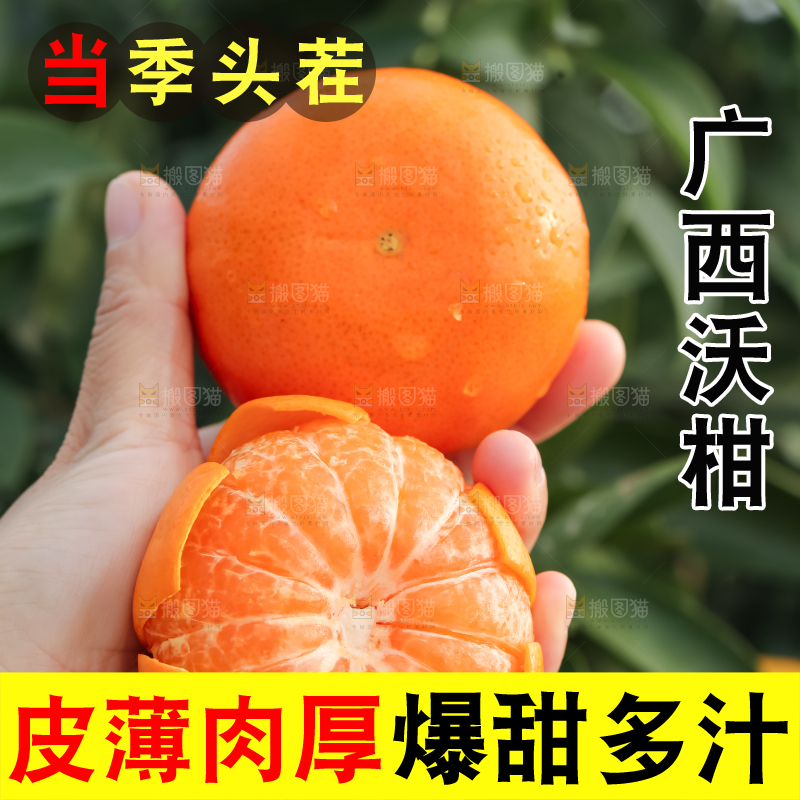 手里拿着新鲜沃柑