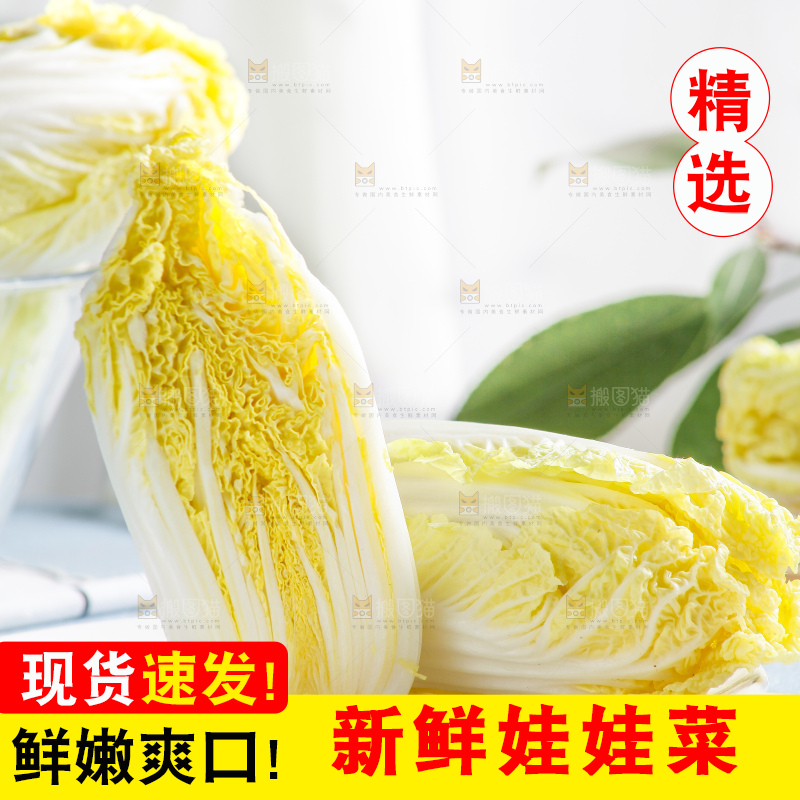 浅底上的娃娃菜