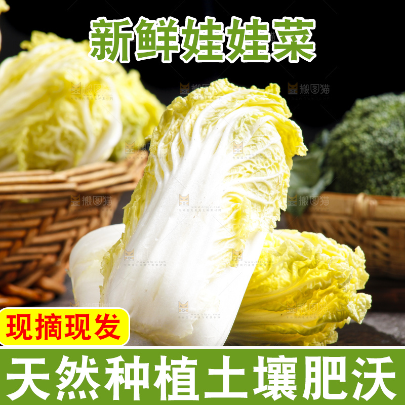深底上的娃娃菜