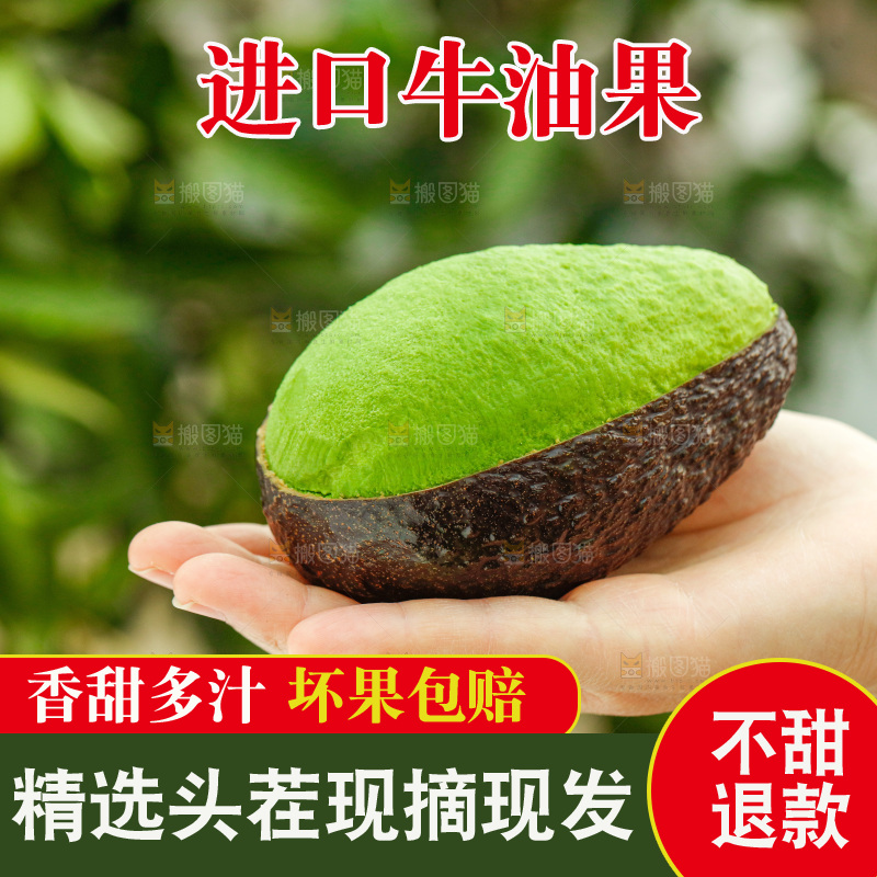手里拿着巨无霸牛油果