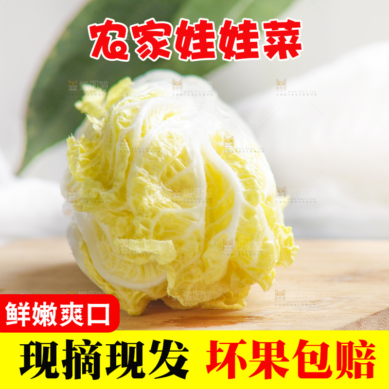 浅底上的娃娃菜