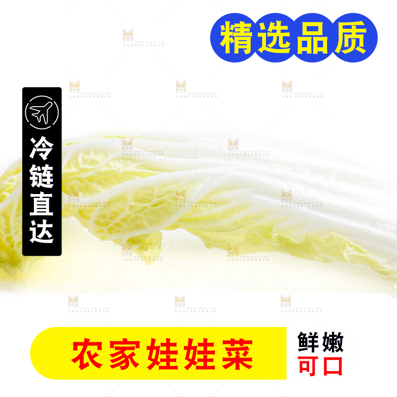 白底上的娃娃菜