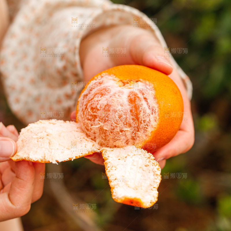 手里拿着涌泉蜜桔