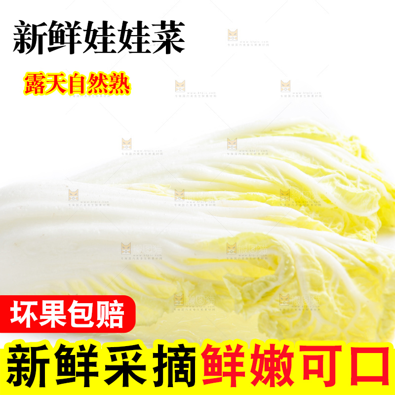 白底上的娃娃菜