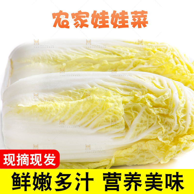白底上的娃娃菜