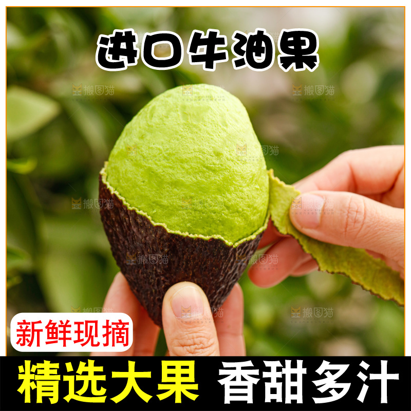 手里拿着巨无霸牛油果