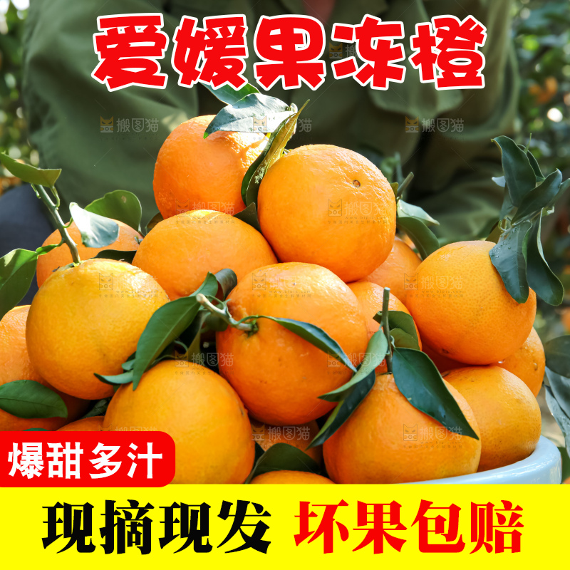 手里拿着爱媛果冻橙