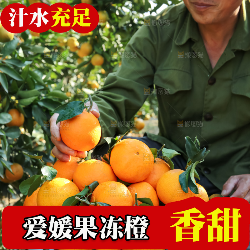 手里拿着爱媛果冻橙