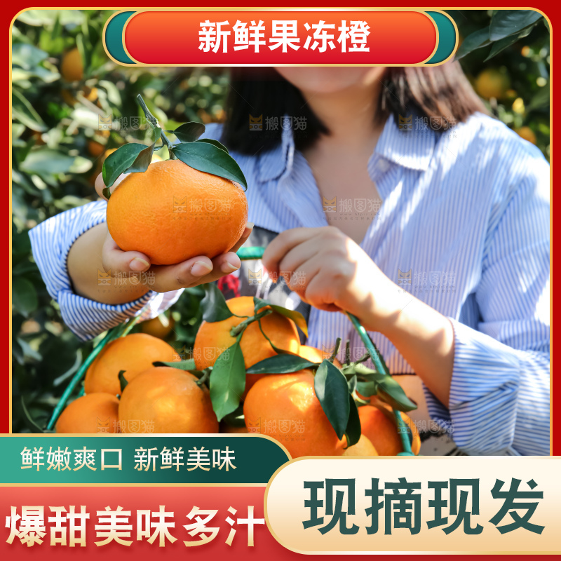 手里拿着爱媛果冻橙
