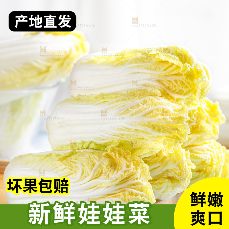 浅底上的娃娃菜