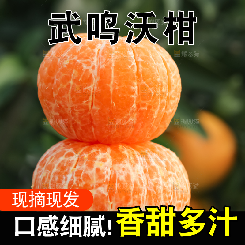 手里拿着新鲜沃柑